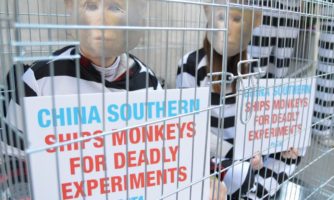 «PeTA»، چهار دهه مبارزه علیه استفاده از حیوانات آزمایشگاهی