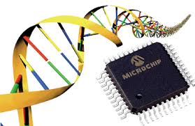 ساخت میکروچیپ تشخیص بیماری‌های ژنتیکی در کشور