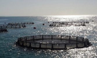«قفس کروی پرورش ماهی» محققان کشور به آبهای خزر انداخته شد