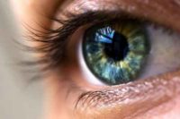 کمک به رشد سلول‌های بنیادی چشم با داربست نانویی پژوهشگران کشور