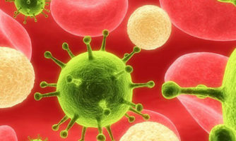 آیا گیرنده‌‌‌‌‌‌‌‌‌های سیستم ایمنی در بروز سرطان بیضه نقش دارند؟