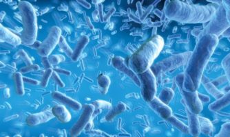 خطر حذف باکتری‌های پروبیوتیک‌ بومی با استفاده روزافزون در صنایع لبنی
