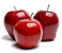 تولید سیب‌ تراریخته مقاوم با انتقال ژن از سیب!