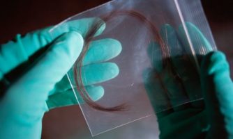 امکان شناسایی انسان‌های باستانی با کشف نشانگرهای منحصربه‌فرد در پروتئین مو
