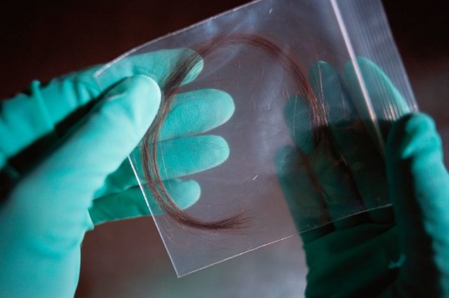 امکان شناسایی انسان‌های باستانی با کشف نشانگرهای منحصربه‌فرد در پروتئین مو