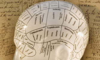جامع‌ترین نقشه مغز انسان ارائه شد