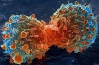 توقف رشد تومورهای سرطانی با یک فناوری جدید