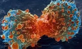 توقف رشد تومورهای سرطانی با یک فناوری جدید