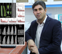 کشف ژنی جدید در گیاه جو با همکاری محققان ایرانی