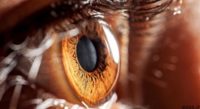تلاش محققان ایرانی برای طراحی سیستم «بازشناسی اشیاء» مبتنی بر بینایی انسان