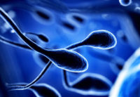 طراحی شیوه‌ای برای انتخاب اسپرم بهتر و افزایش شانس باروری توسط پژوهشگران کشور