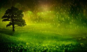 افزایش شیوع بیماری های گیاهی با بارش شدید باران