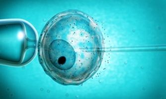 دسته گل دانشجوی هلندی در مرکز IVF، هویت ۲۶ نوزاد را زیر سوال برد!