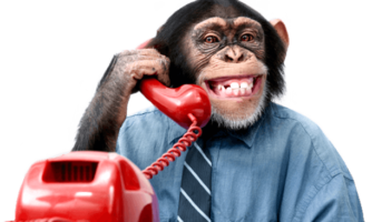 چرا میمون ها قادر به صحبت کردن نیستند؟