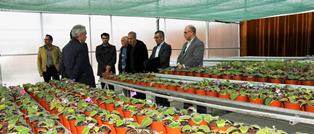 افتتاح نخستین گلخانه اسپانیایی در دانشگاه ارومیه
