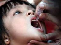 ایمنی بالای واکسن ایرانی فلج اطفال با کشت روی سلول ریه انسان به جای کلیه میمون
