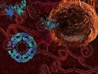 نانوزیست‌حسگر جدید برای شناسایی سریع ویروس‌ها