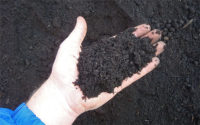 راه اندازی کارخانه تولید خاک پوششی پرورش قارچ در کشور