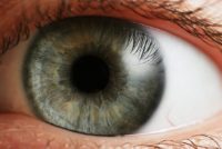 تولید داروی ضد قارچ کاهش التهاب قرنیه چشم