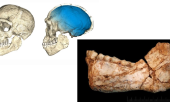 بطلان نظریه چگونگی ظهور انسان مدرن با کشف فسیل ۳۰۰ هزار ساله