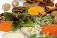 استانداردسازی ۱۰ گونه گیاه دارویی در کشور تا پنج ماه آینده