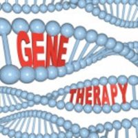 ساخت نانو حامل های انتقال ژن به سلول برای درمان سرطان توسط محققان دانشگاه علوم پزشکی شیراز