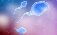 خطر انقراض انسان با تداوم کاهش تولید اسپرم در مردان!