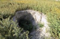 هشدار مرکز زمین‌شناسی و اکتشافات‌ معدنی جنوب کشور: افزایش فروچاله‌های دریاچه ارژن و مشاهده ترک در زمین‌های اطراف