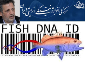 صدور شناسنامه DNA برای نمونه های جانوری ایران/شناسایی و ثبت بارکد DNA آبزیان کشور