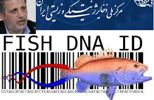 صدور شناسنامه DNA برای نمونه های جانوری ایران/شناسایی و ثبت بارکد DNA آبزیان کشور