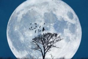 با ماه گرفته از استرالیا تا فرانسه