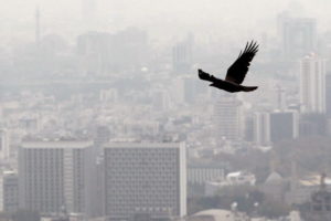 «آلودگی هوا و صدا» وارد ششمین همایش ملی می‌شود!