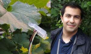 فریاد گیاهان تشنه با اختراع دانشمند ایرانی به گوش کشاورزان رسید!