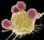 تشخیص زودهنگام سرطان با نانوذرات هوشمند توسط محققان کشور