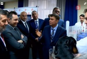 عصبانیت روس‌ها از آزار یک سگ در آزمایش علمی