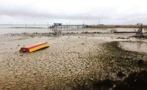 زنگ خطر تبعات هولناک کاهش آب دریای خزر/ دریای خزر طی یک دهه معادل ۱۲ دریاچه ارومیه آب از دست داده است/تراز آب خزر، ۱ متر کاهش یافته است