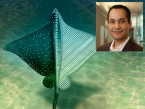 ساخت ربات نرم با الهام از سفره ماهی به رهبری دانشمند ایرانی UCLA