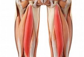 ساخت دستگاه تقویت‌کننده عضلات داخلی ران پا
