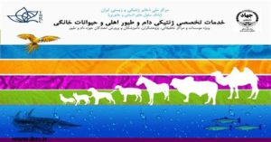 ارائه کیت ها و آزمون های ژنتیک جانوری توسط مرکز ملی ذخایر ژنتیکی و زیستی ایران