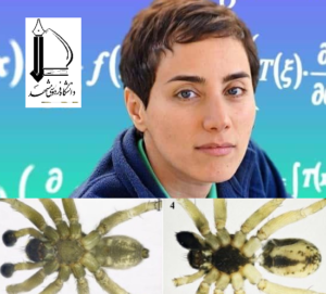 کشف و ثبت جهانی گونه جدید «عنکبوت» از ایران به نام «مریم میرزاخانی»