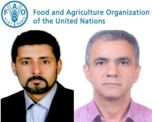 عضویت دو استاد ایرانی در کمیته مشورتی سازمان غذا و کشاورزی ملل متحد