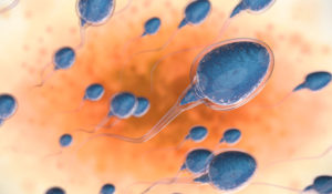 عوارض مرگبار یک حساسیت نادر: آلرژی به اسپرم از خارش و تهوع تا مرگ
