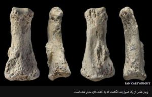 «انگشت» تاییدی بر کوچ ۱۸۰ هزار سال قبل انسان از آفریقا/عربستان سرسبز ۸۵ هزار سال قبل، مامن انسان مدرن