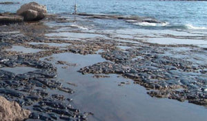 ابرجاذب نفت پلیمری برای پاکسازی آبهای دریا، برنده یک چالش فناوری در کشور شد
