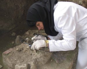 پرده برداری از تبار ژنتیک ایرانیان با بررسی DNA باستانی