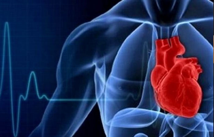 در دانشگاه تبریز محقق شد: پیش بینی حملات قلبی با ساخت نانوحسگر زیستی مبتنی بر نقاط کوانتومی