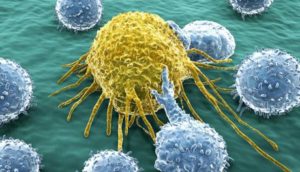 با تلاش محققان کشور صورت گرفت: نابودی سلولهای سرطانی با نانوذرات پلیمر و طلا