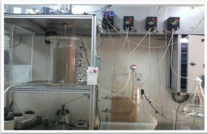 ارائه نخستین سیستم بیوراکتور ترکیبی حذف کننده نیترات از آب آشامیدنی در کشور