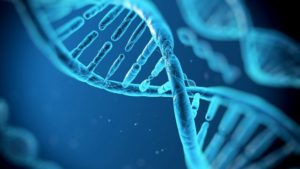 دانشگاه آزاد اعلام کرد: ثبت جهانی ۱۱ ژن در مرکز ملی اطلاعات بیوتکنولوژی آمریکا