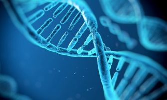 دانشگاه آزاد اعلام کرد: ثبت جهانی ۱۱ ژن در مرکز ملی اطلاعات بیوتکنولوژی آمریکا